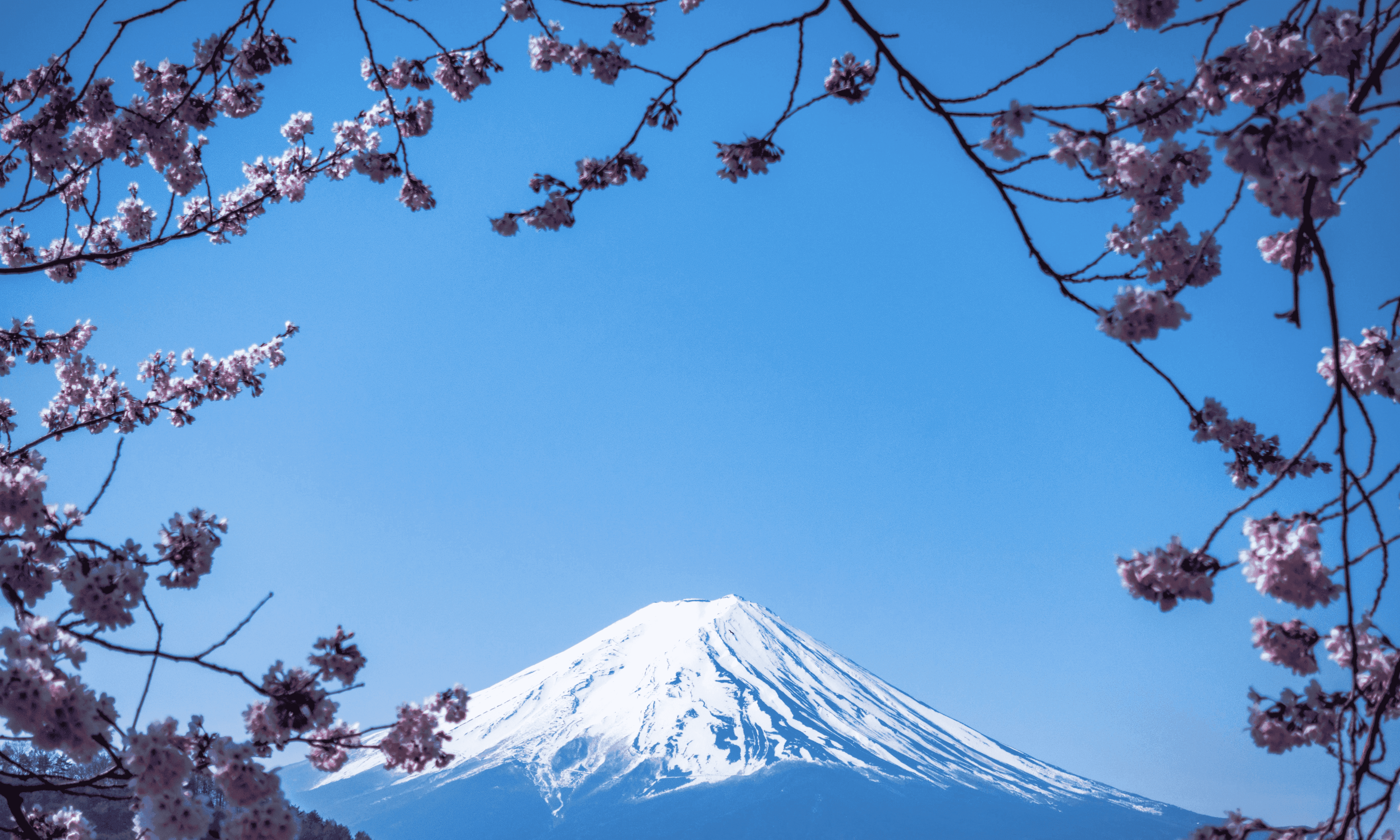 View of Mount Fuji